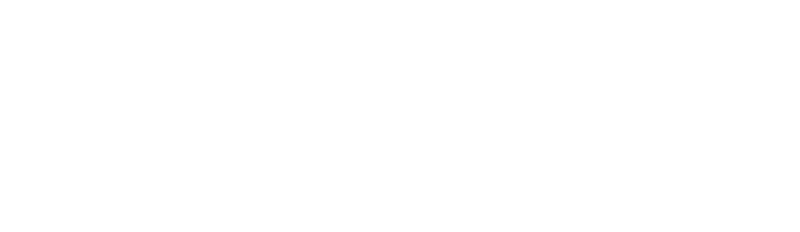 Probit logo